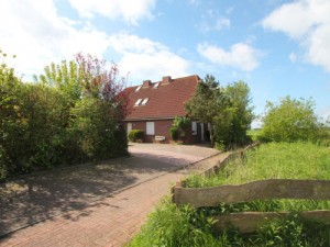 Pusteblume-haus-im-koggenweg-11